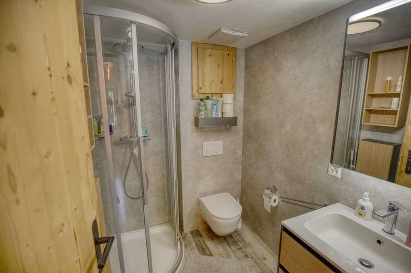 Chalet 3.5 pièces dans PPE - Excellent potentiel locatif (5)