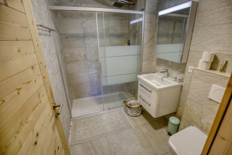 Luxuswohnung 3.5 Zimmer in sehr gutem Zustand zu verkaufen in Haute-Nendaz (4)