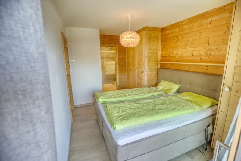 Luxuswohnung 3.5 Zimmer in sehr gutem Zustand zu verkaufen in Haute-Nendaz (8)