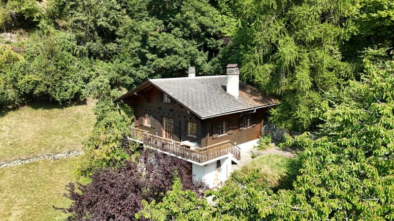 Chalet à Isérables dans un havre de paix ! (2)