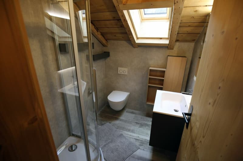 Appartement 4.5 p en PPE - Excellent potentiel locatif A6 (5)
