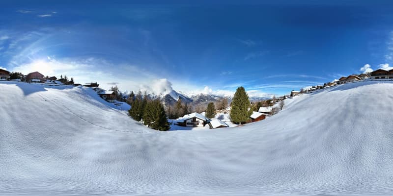 Chalet de caractère avec 2 annexes et un grand terrain à Haute-Nendaz! (9)