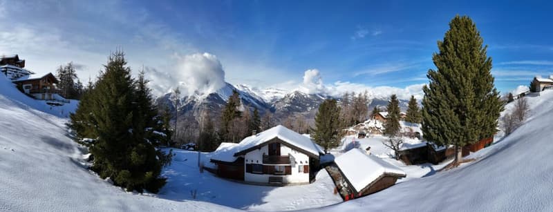 Chalet de caractère avec 2 annexes et un grand terrain à Haute-Nendaz! (7)