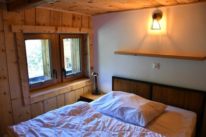 Chalet 4.5 pièces dans PPE - Excellent potentiel locatif (3)