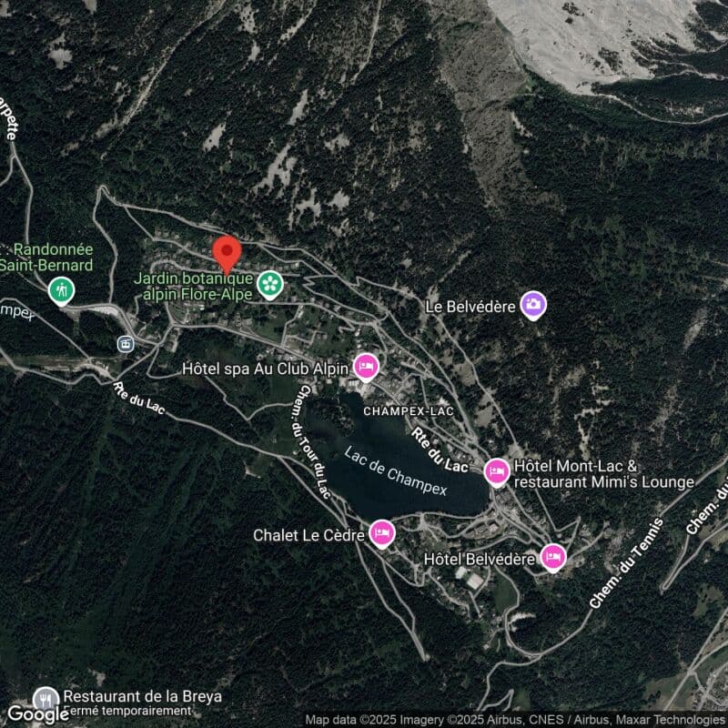 Magnifique chalet mitoyen rénové à Champex-Lac ! (44)