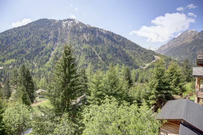 Magnifique chalet mitoyen rénové à Champex-Lac ! (38)