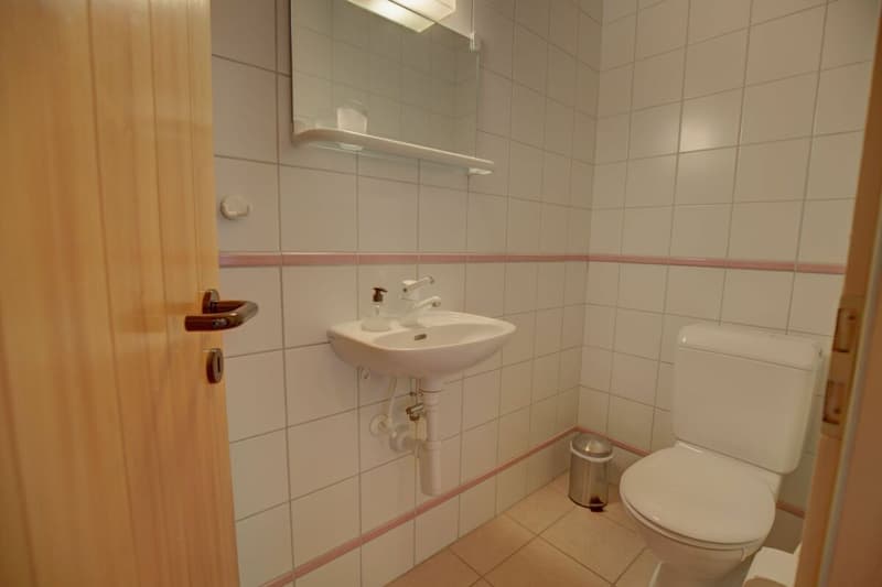 Helles Doppelhauswohnung im Zentrum von Nendaz-Station! (11)