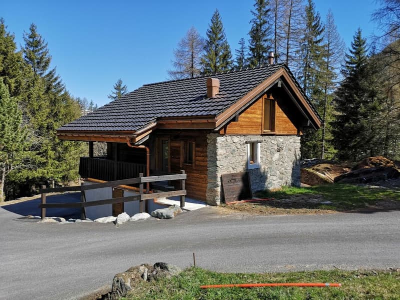 Chalet 4,5 Zimmer in PPE - Exzellentes Vermietungspotenzial (1)