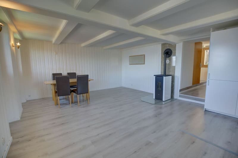 Sympathische 3-Zimmer-Wohnung im Herzen des alten Dorfes Nendaz! (8)