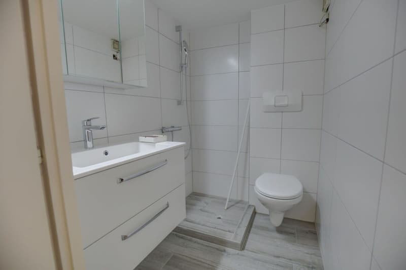 Sympathische 3-Zimmer-Wohnung im Herzen des alten Dorfes Nendaz! (7)