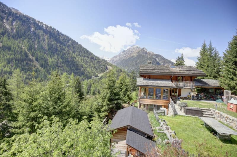 Beautiful renovated semi-detached chalet in Champex-Lac! (39)
