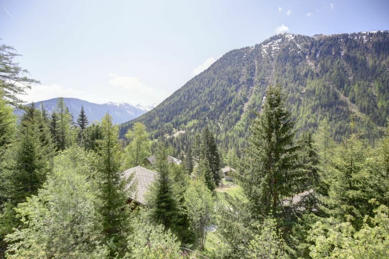 Beautiful renovated semi-detached chalet in Champex-Lac! (37)