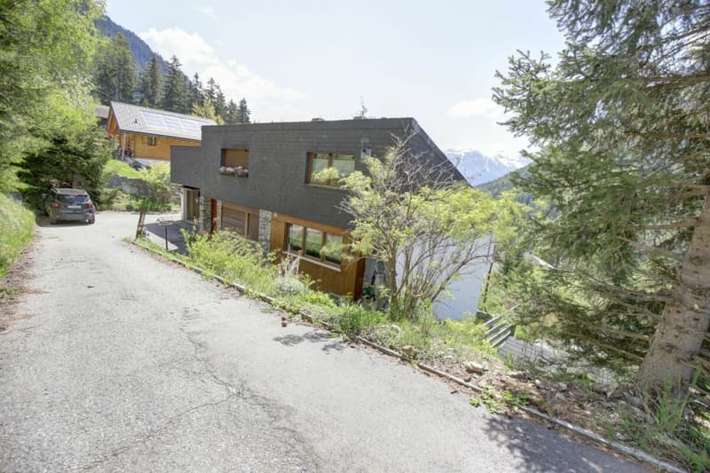 Beautiful renovated semi-detached chalet in Champex-Lac! (28)