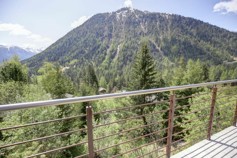 Beautiful renovated semi-detached chalet in Champex-Lac! (34)
