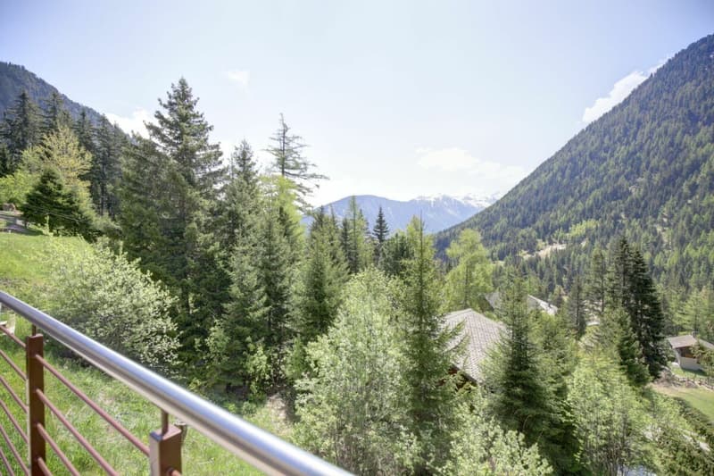 Beautiful renovated semi-detached chalet in Champex-Lac! (36)
