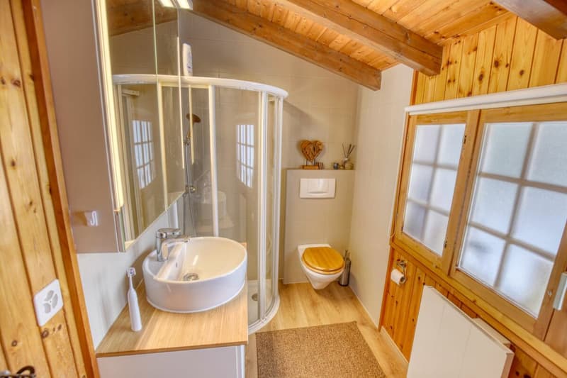 Character chalet with 2 annexes and a large plot of land in Haute-Nendaz! (19)