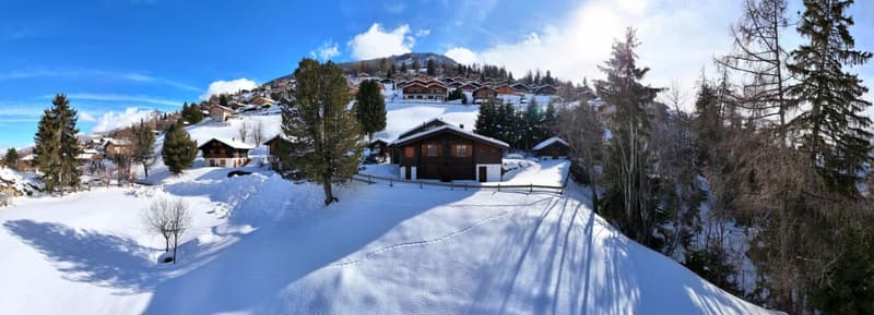 Character chalet with 2 annexes and a large plot of land in Haute-Nendaz! (4)