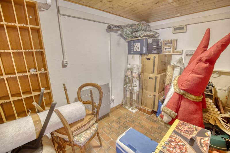 Character chalet with 2 annexes and a large plot of land in Haute-Nendaz! (29)
