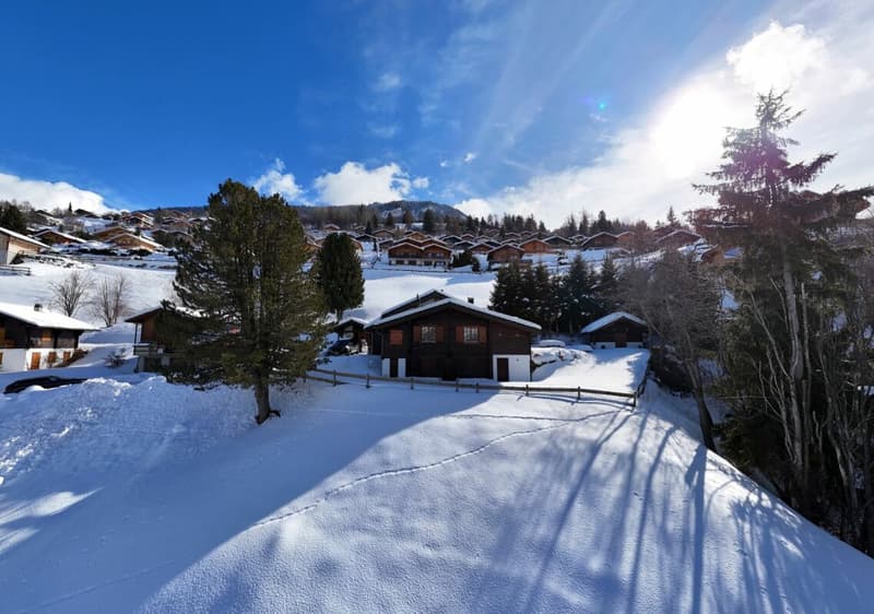 Character chalet with 2 annexes and a large plot of land in Haute-Nendaz! (8)