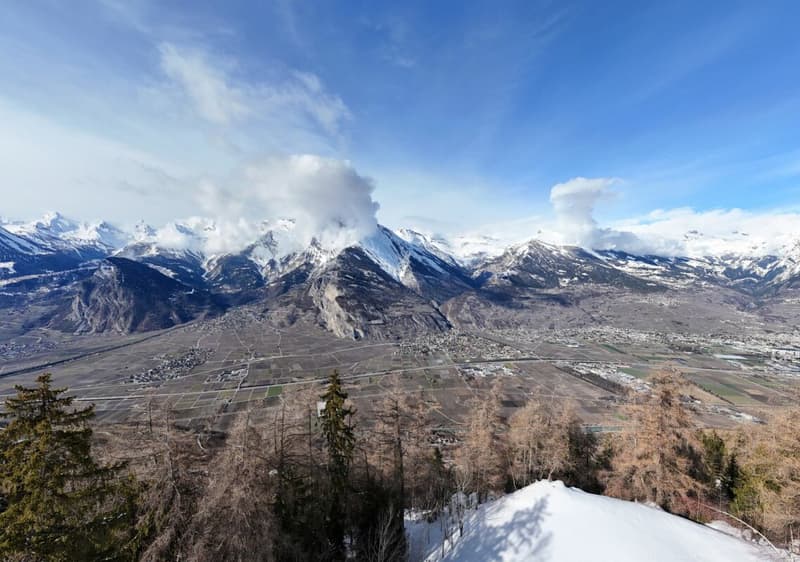 Character chalet with 2 annexes and a large plot of land in Haute-Nendaz! (5)