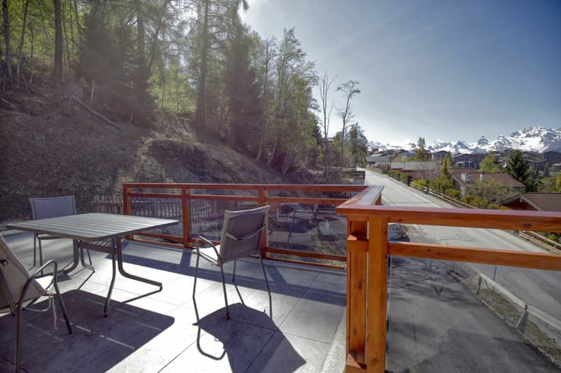 Wunderschönes Chalet am Ufer des Bisses in Nendaz ! (18)