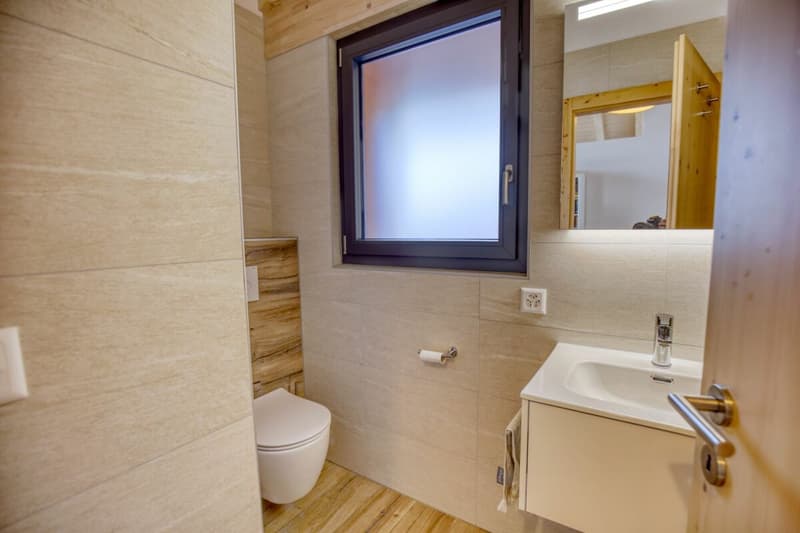Wunderschönes Chalet am Ufer des Bisses in Nendaz ! (15)
