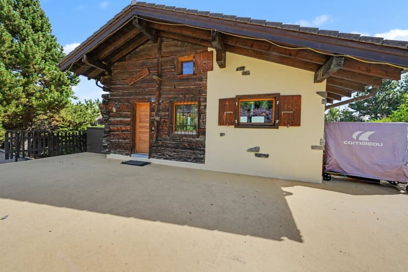Schönes Familienchalet mit Galerie und Sauna in Haute-Nendaz! (22)