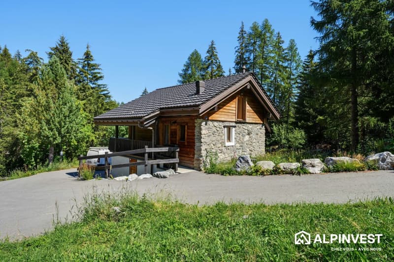 Chalet 4.5 Zimmer in PPE - Exzellentes Vermietungspotenzial (12)