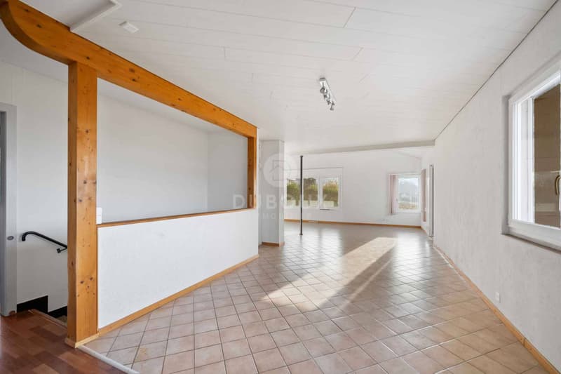 YVERDON-LES-BAINS - MAGNIFICENT VILLA CLOSE TO THE CITY CENTER (4)