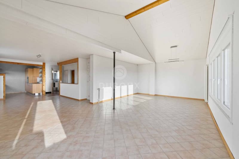 YVERDON-LES-BAINS - MAGNIFICENT VILLA CLOSE TO THE CITY CENTER (5)