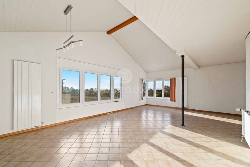 YVERDON-LES-BAINS - MAGNIFICENT VILLA CLOSE TO THE CITY CENTER (6)