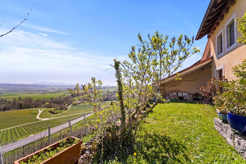 MAGNIFIQUE FERME RÉNOVÉE AVEC VUE IMPRENABLE SUR LE PLATEAU VAUDOIS (4)