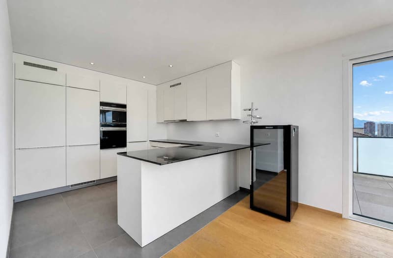 Attic apartment with panoramic view (7)