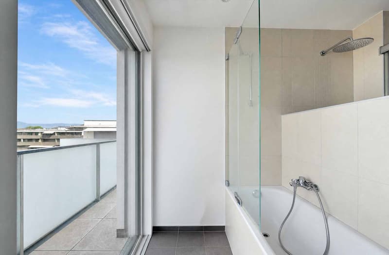 Attic apartment with panoramic view (10)