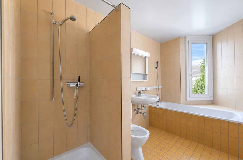 Charmante maison contiguë de 6,5 pièces à rénover (9)