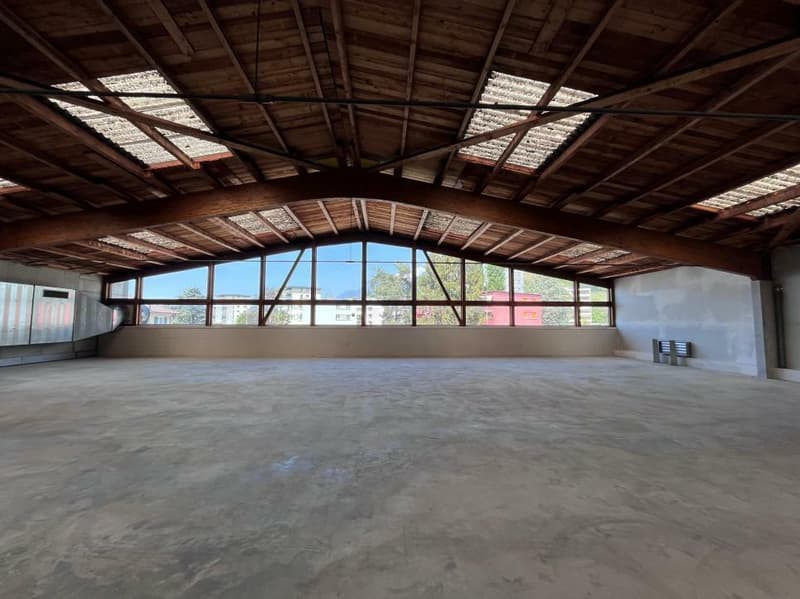 Spacious industrial hall divisible into a mezzanine (3)