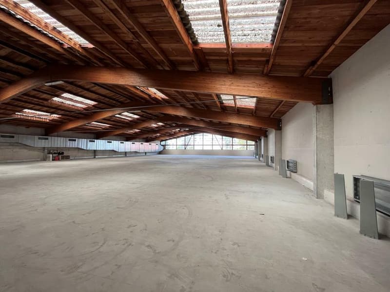 Spacious industrial hall divisible into a mezzanine (4)