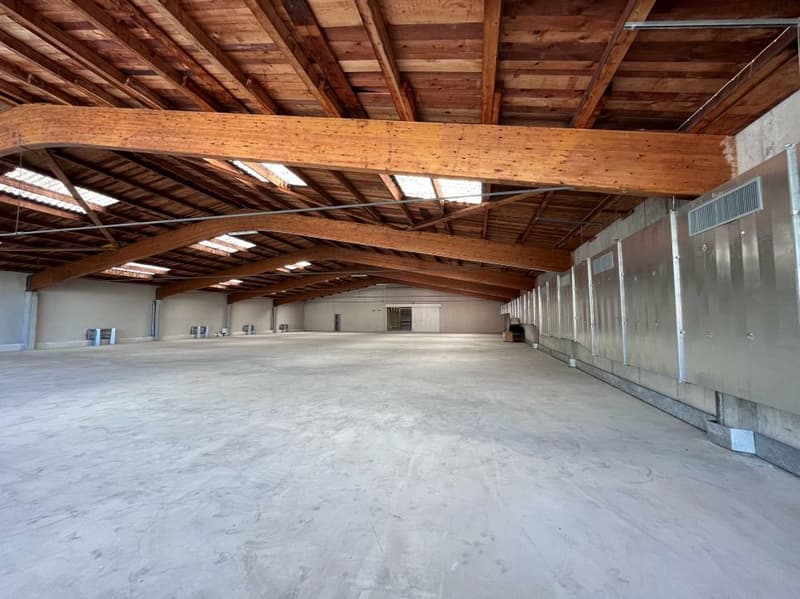 Spacious industrial hall divisible into a mezzanine (5)