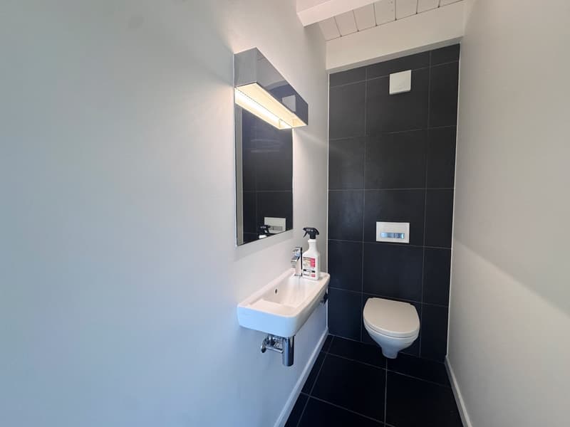 Ampio appartamento duplex di 5.5 locali (6)