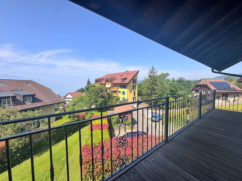 Ampio appartamento duplex di 5.5 locali (7)