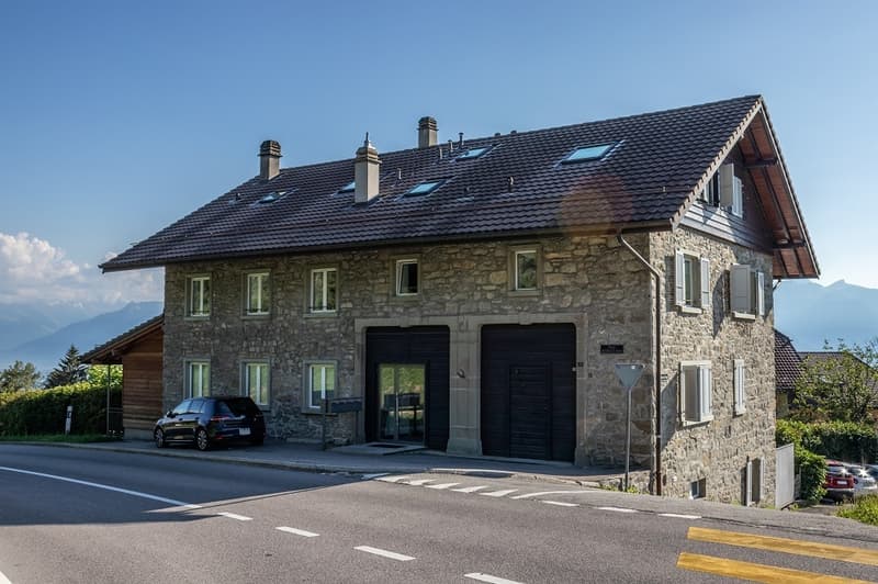 Ampio appartamento duplex di 5.5 locali (8)
