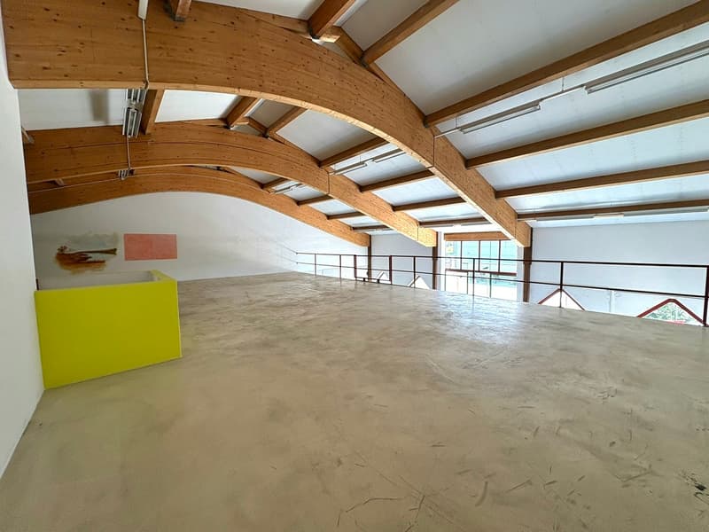 Ampio locale artigianale su 2 livelli (8)