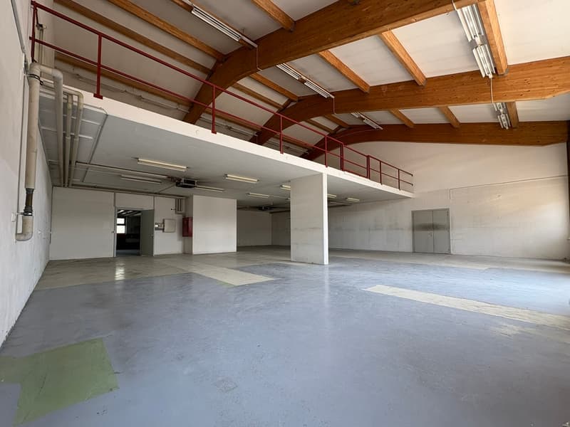 Ampio locale artigianale su 2 livelli (4)