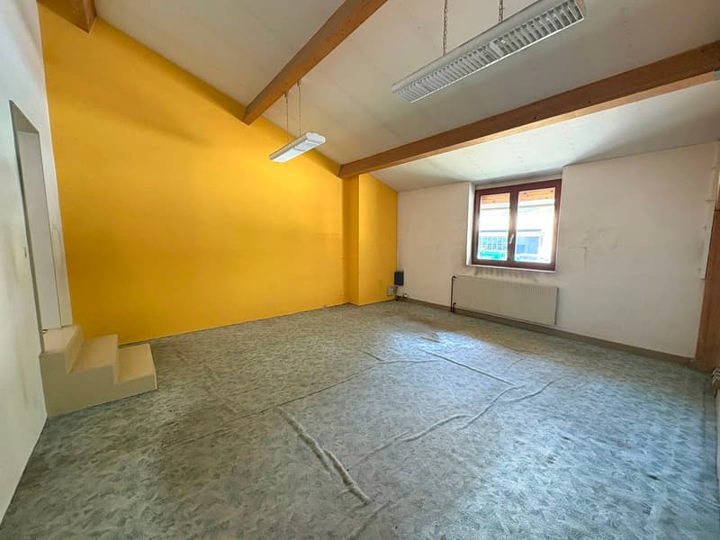 Ampio locale artigianale su 2 livelli (10)