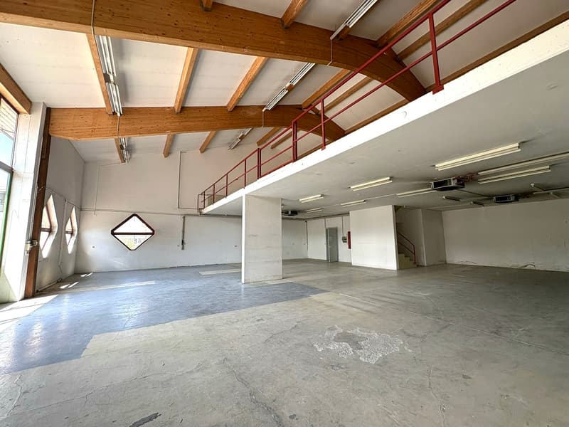 Ampio locale artigianale su 2 livelli (5)