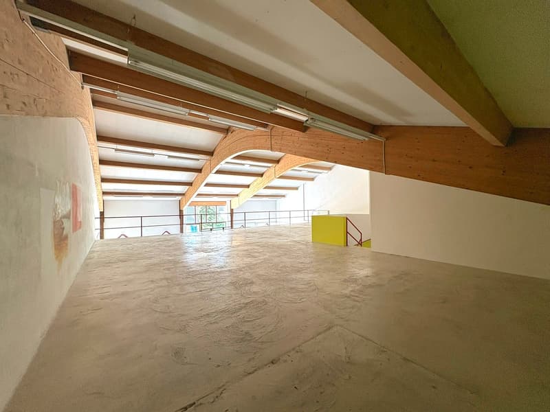 Ampio locale artigianale su 2 livelli (9)