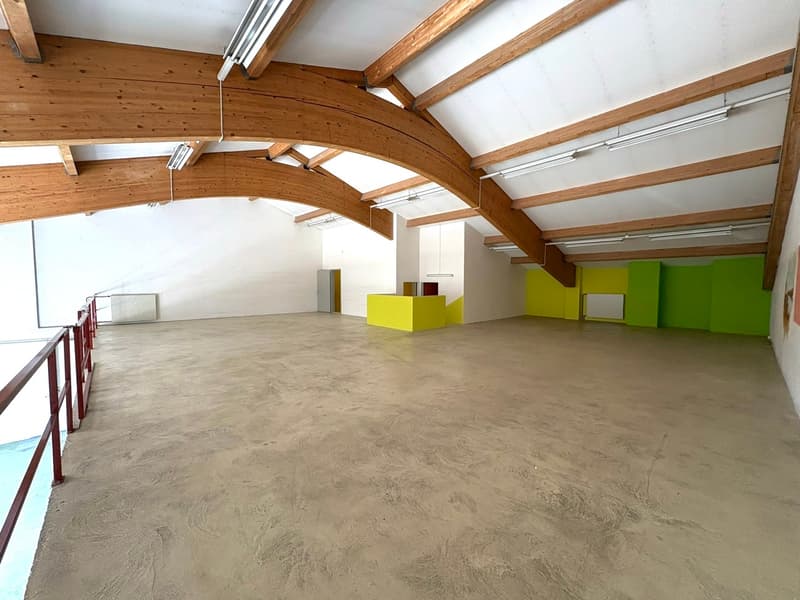 Ampio locale artigianale su 2 livelli (7)