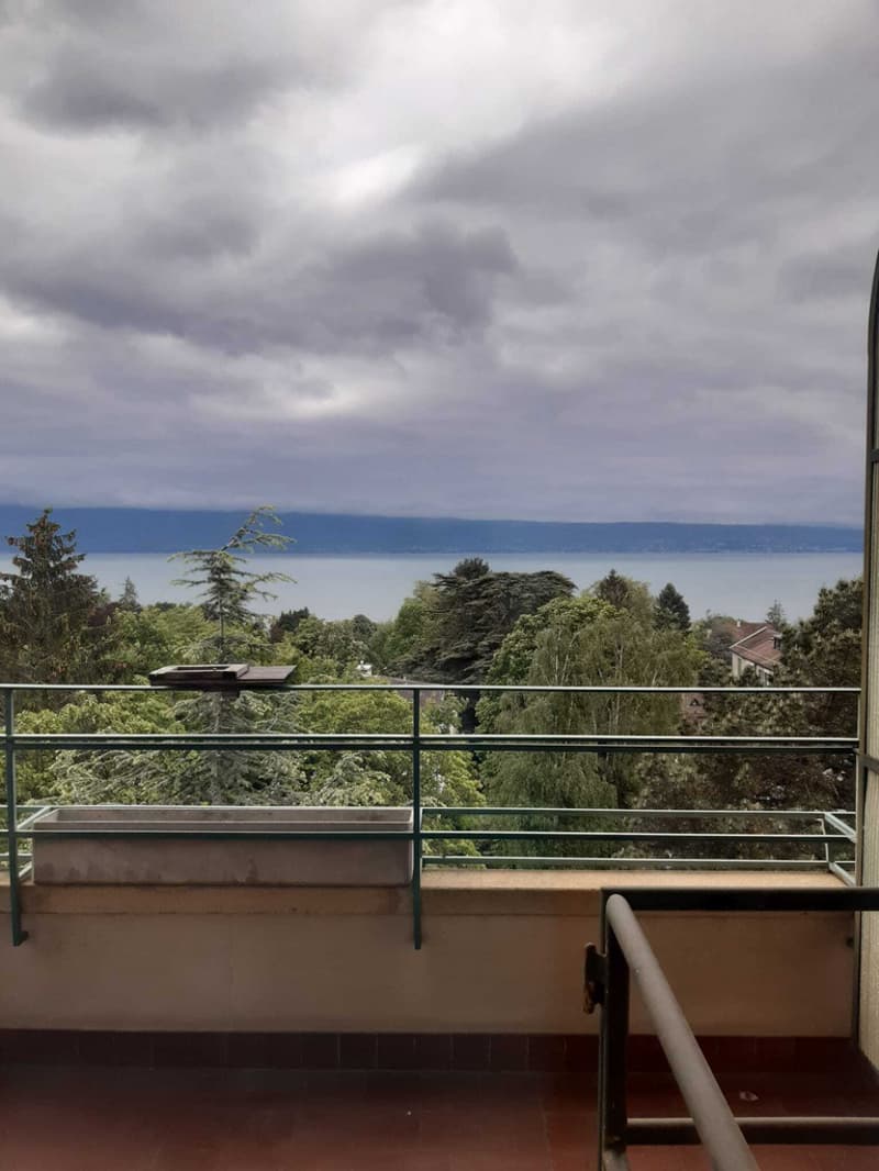 Foto_Lausanne_III.jpg