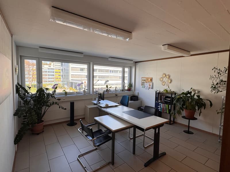 Uffici di 340 m2 - 1066 Epalinges - Disponibili immediatamente o a convenire (5)