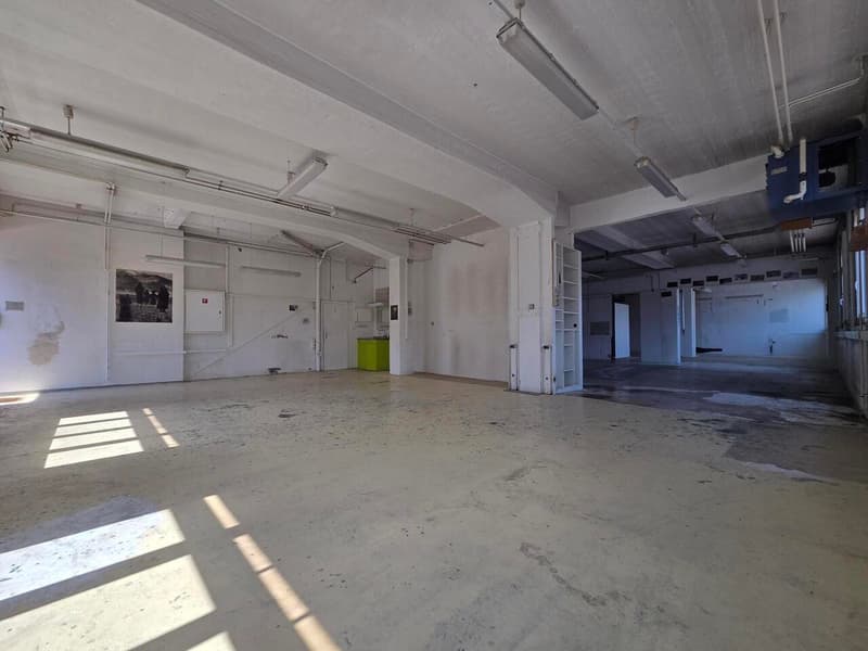 Locale commerciale di 230 m² a piano terra con banchina di carico (3)